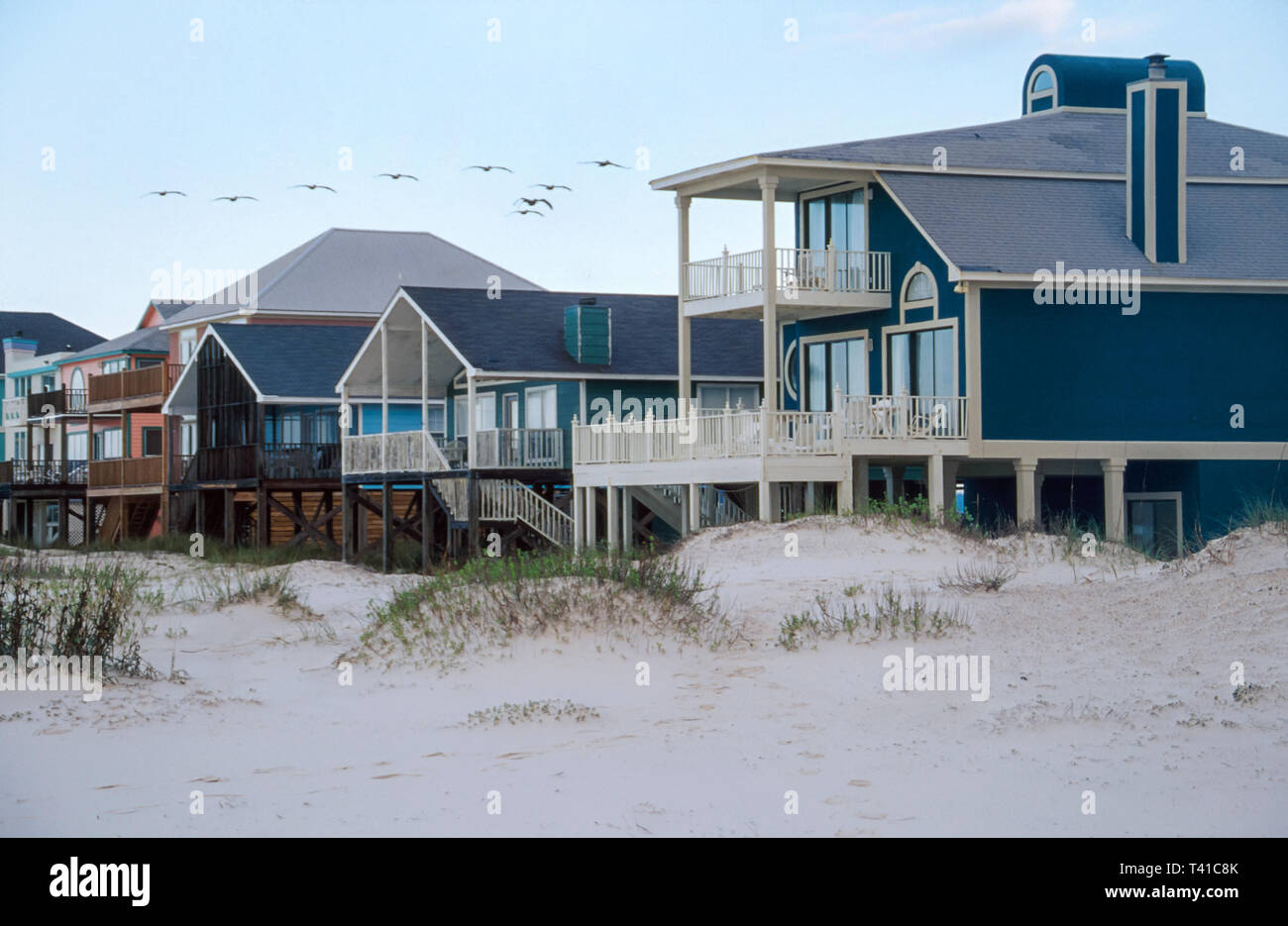 Alabama Golfo del Messico Costa Baldwin County Gulf Shores, West Beach case edifici fronte spiaggia pellicani gregge, Foto Stock