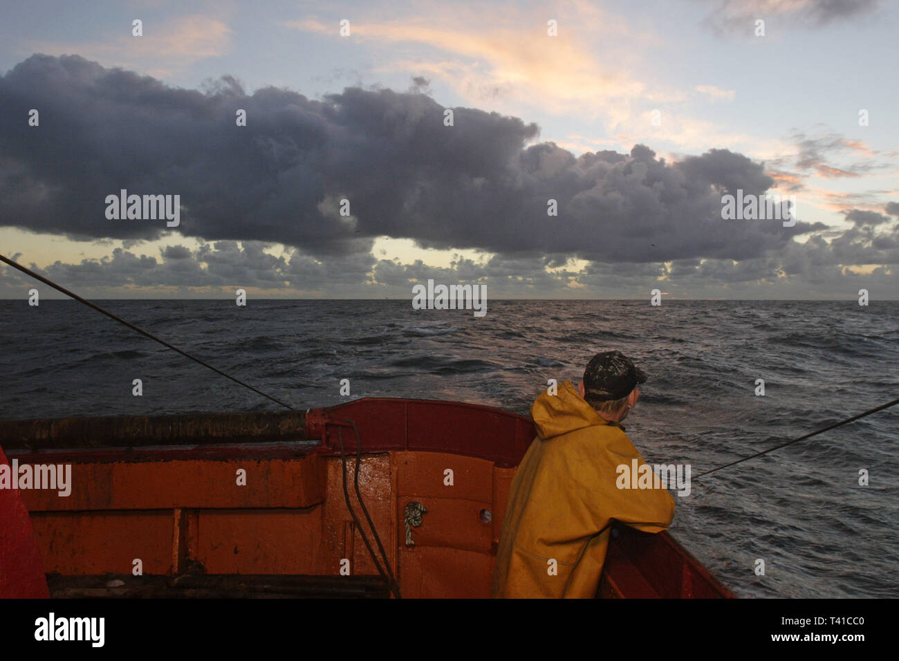 Sul peschereccio in mare irlandese. 4-uomo squadra lavora su 1 delle ultime navi per la pesca a strascico. Fleetwood, nel Lancashire. 24/10/06 Foto Stock