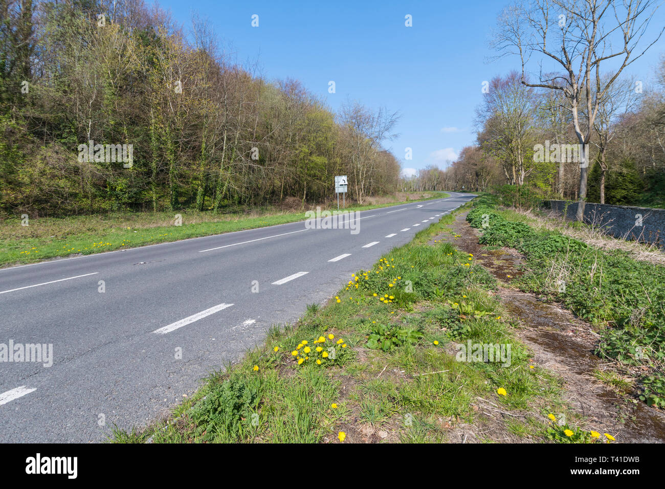 Vista della A284 la strada principale che attraversa la campagna con le auto non, nel West Sussex, in Inghilterra, Regno Unito. British strada senza auto. Foto Stock