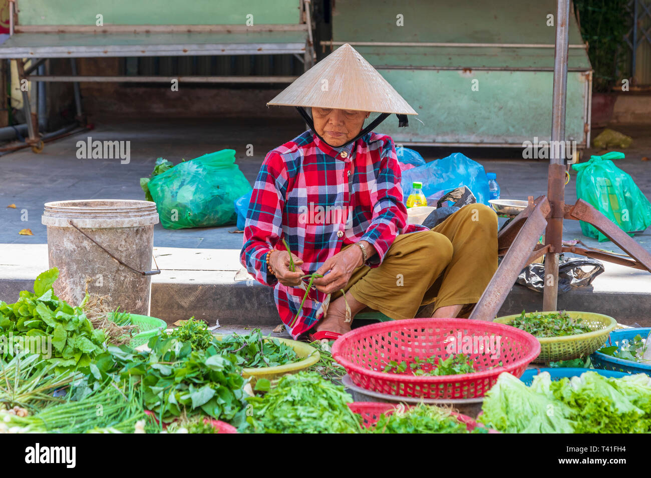 Il vietnamita vecchia donna vendita di erbe e verdure al mercato di strada, Hoi An, Vietnam Asia Foto Stock