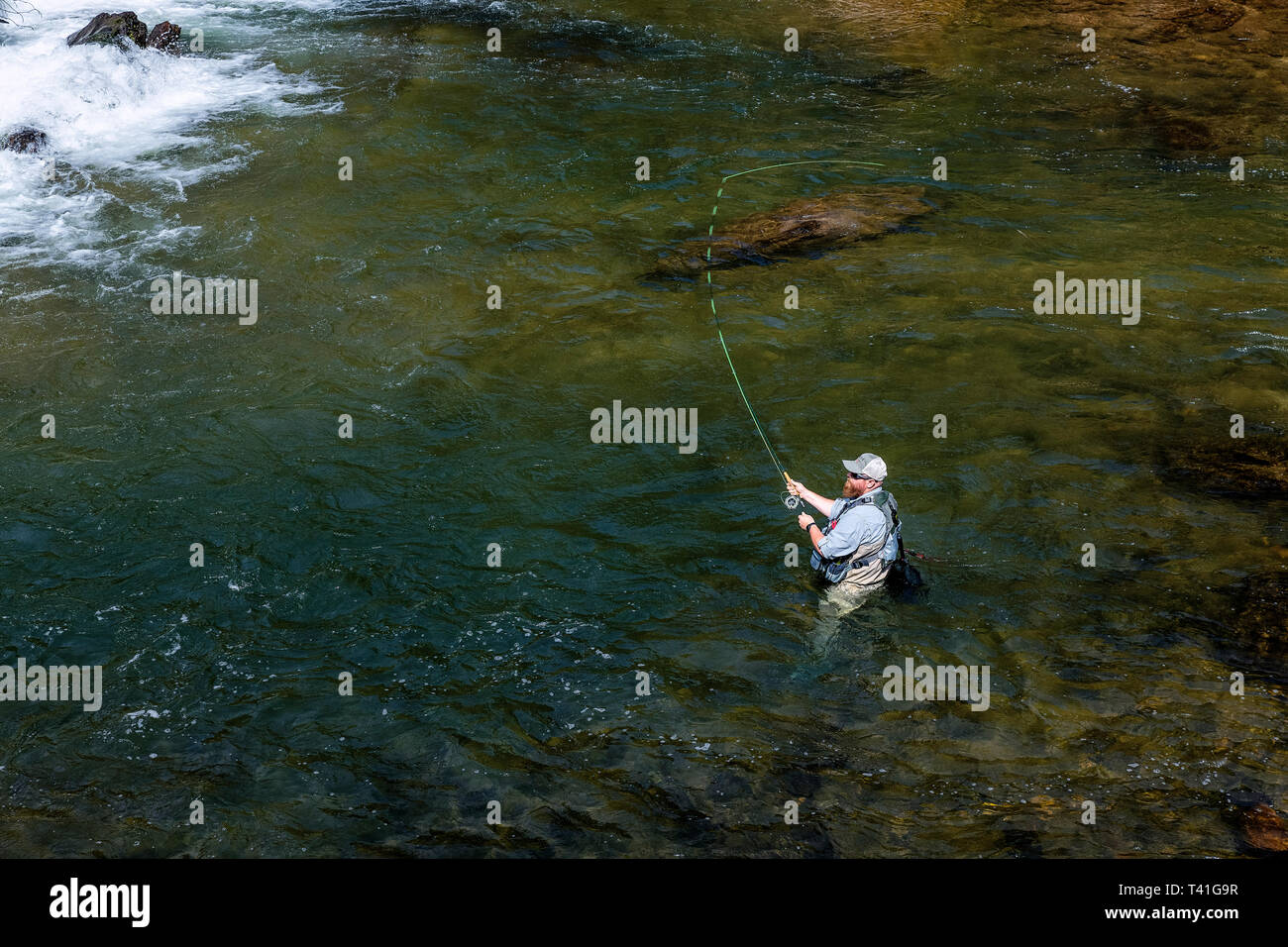 Uomo di Pesca a Mosca Report di Pesca di trote nel fiume Chattahoochee, Bianco County, Georgia, Stati Uniti d'America. Foto Stock