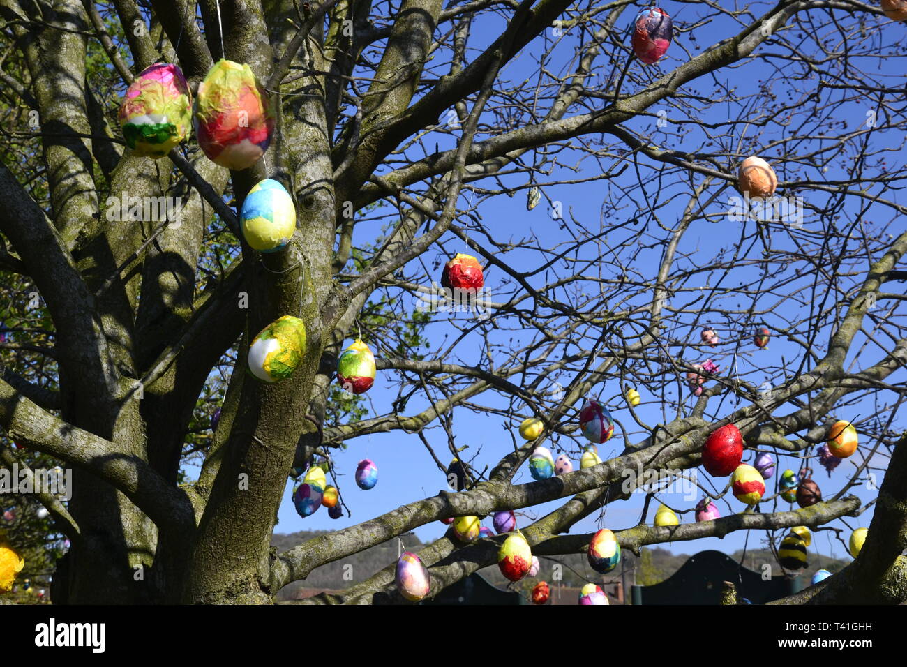 Uova decorata su alberi in Princes Risborough, Buckinghamshire, UK. Creato da ragazzi locali, per festeggiare il weekend di Pasqua 2019 Foto Stock