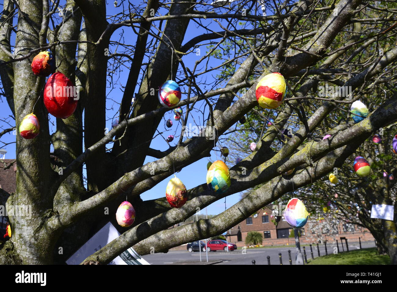 Uova decorata su alberi in Princes Risborough, Buckinghamshire, UK. Creato da ragazzi locali, per festeggiare il weekend di Pasqua 2019 Foto Stock
