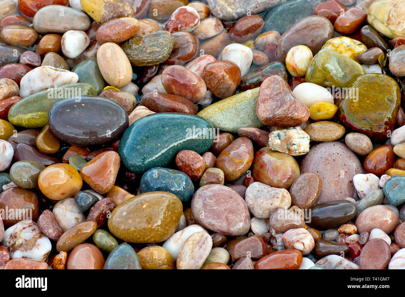 Ciottoli bagnata di sinistra e colorata sulla spiaggia come la marea si spegne. Foto Stock