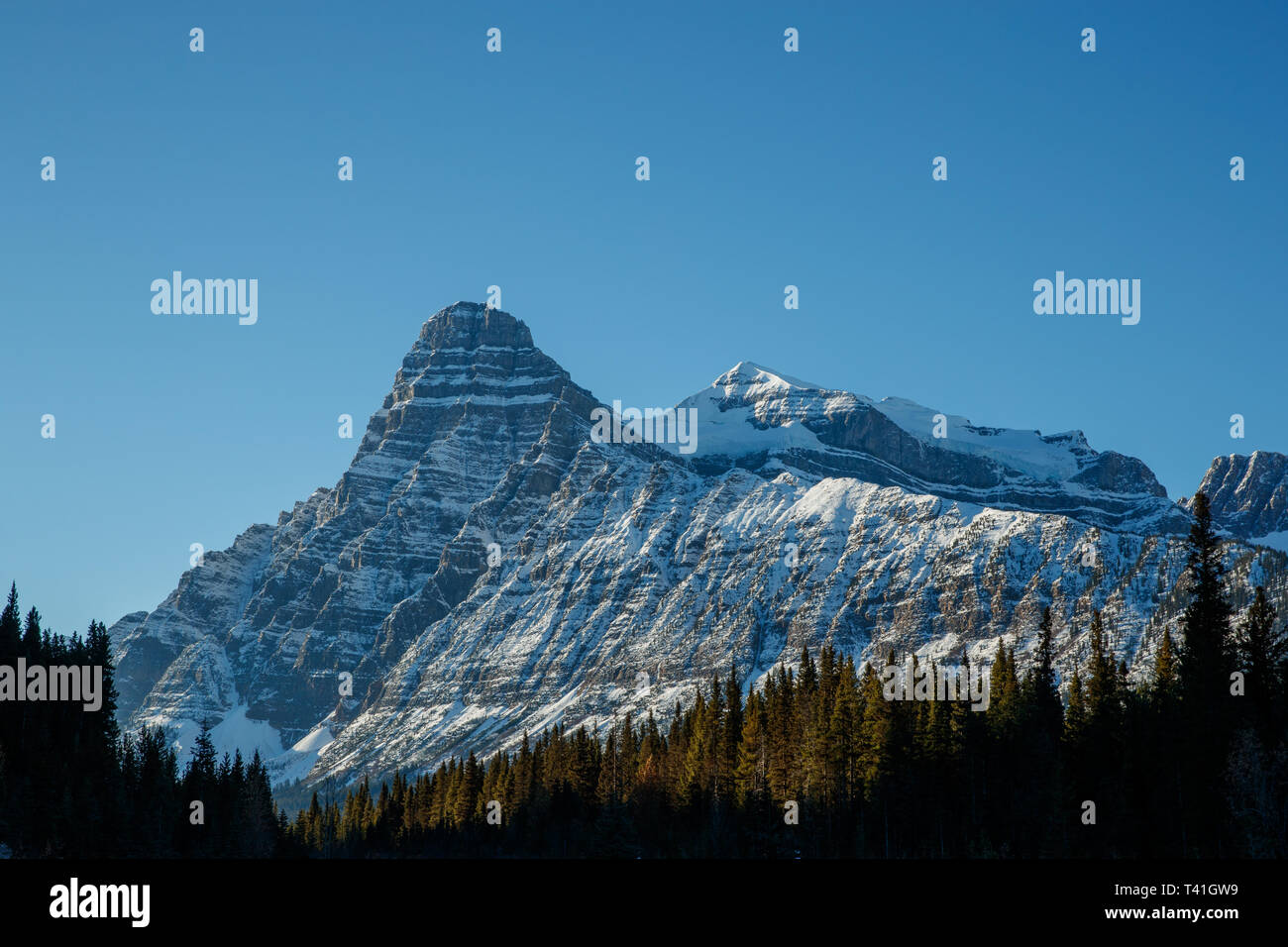 Piramide bianca sulla montagna Icefields Parkway, Alberta, Canada Foto Stock