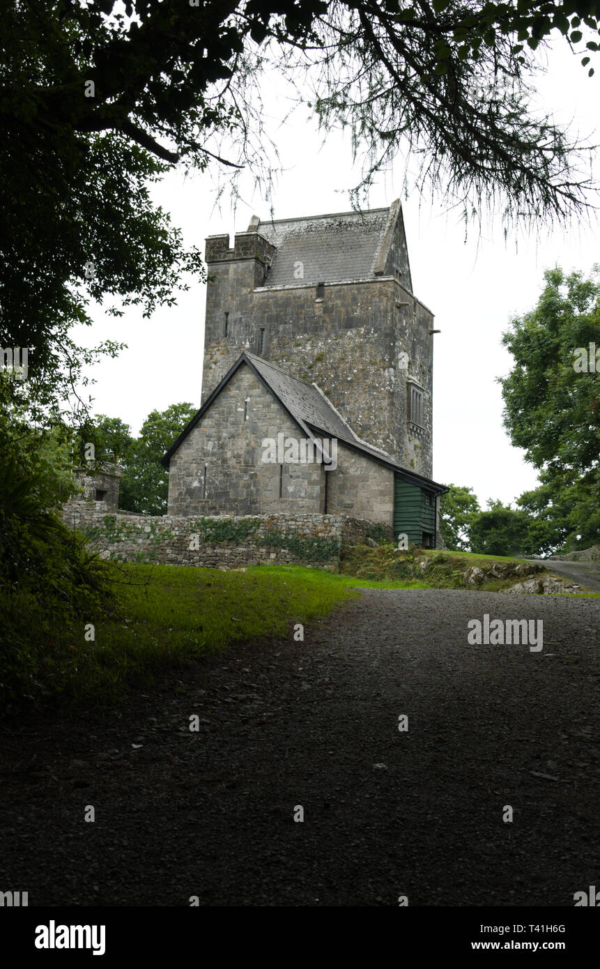 Craggaunowen Tower House o castello in Clare Irlanda Foto Stock