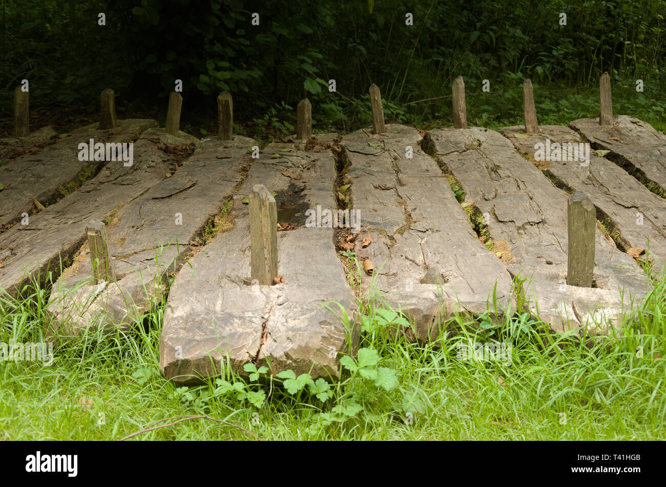 Togher, un esempio di un età di ferro e percorso di legno nella contea di Clare Irlanda Foto Stock