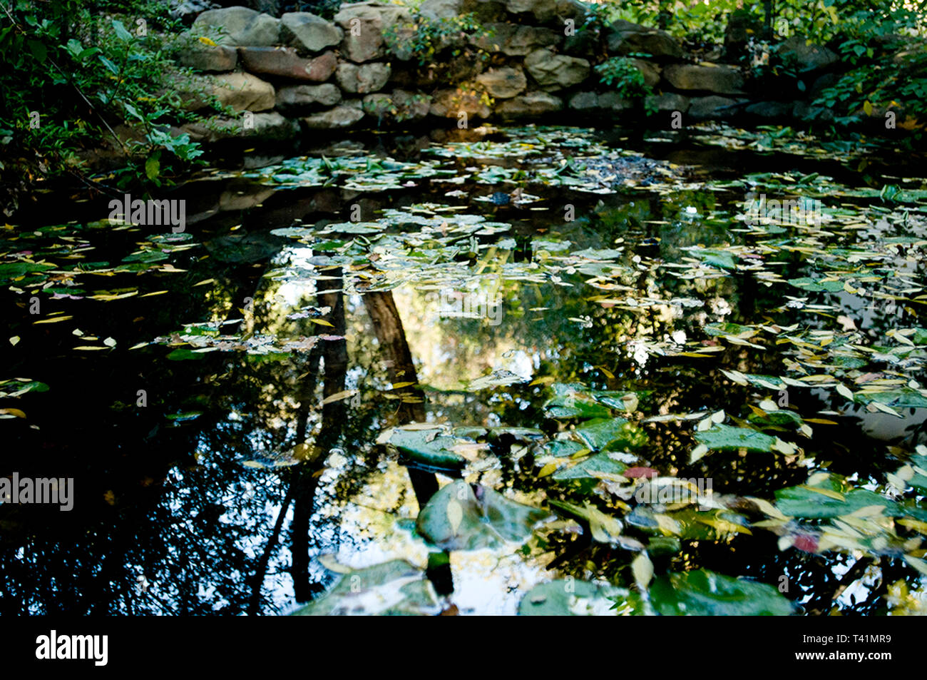 riflessioni Foto Stock