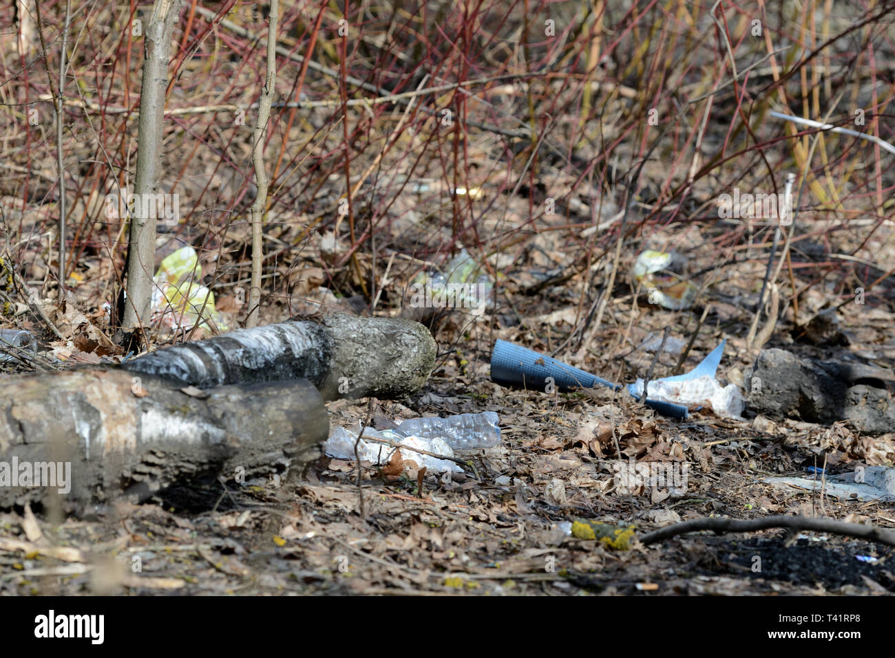 Garbage nella foresta di primavera. Il problema di ecologia e inquinamento della natura Foto Stock
