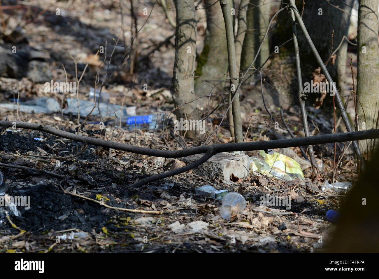 Garbage nella foresta di primavera. Il problema di ecologia e inquinamento della natura Foto Stock