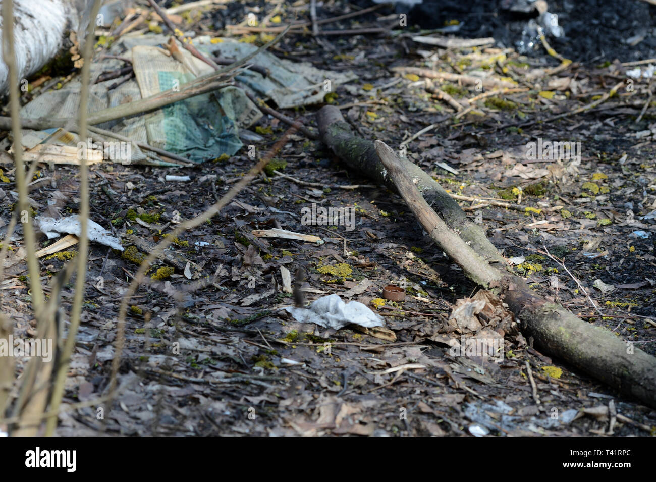 Garbage nella foresta di primavera. Il problema di ecologia e inquinamento della natura Foto Stock