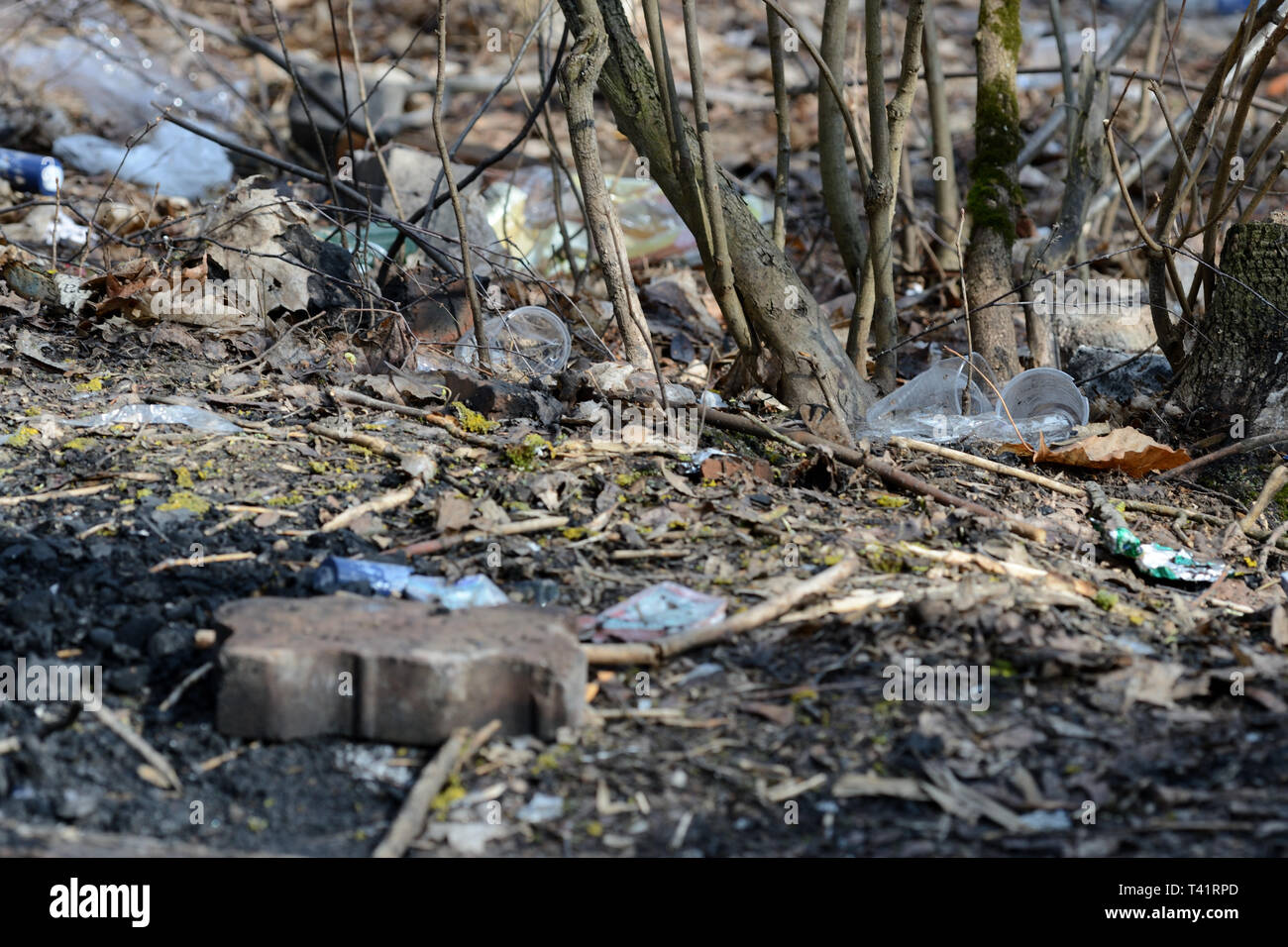 Garbage nella foresta di primavera. Il problema di ecologia e inquinamento della natura Foto Stock