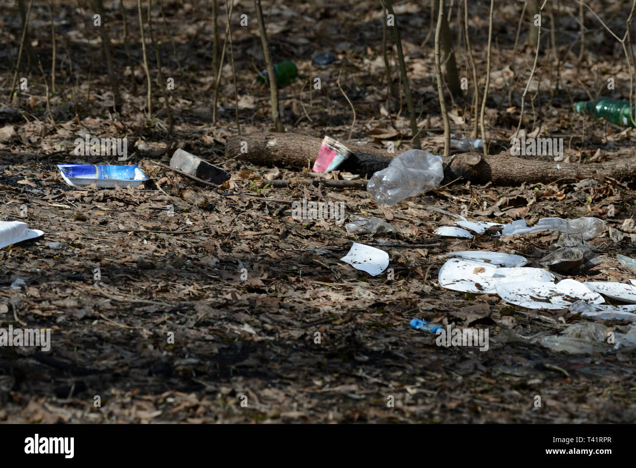 Garbage nella foresta di primavera. Il problema di ecologia e inquinamento della natura Foto Stock