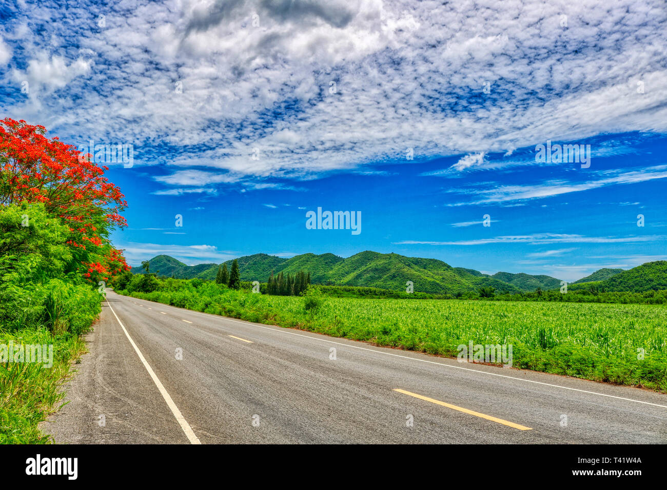 Questa unica immagine mostra la strada in natura con le colline e gli alberi al Kaeng Krachan National Park in Thailandia Foto Stock