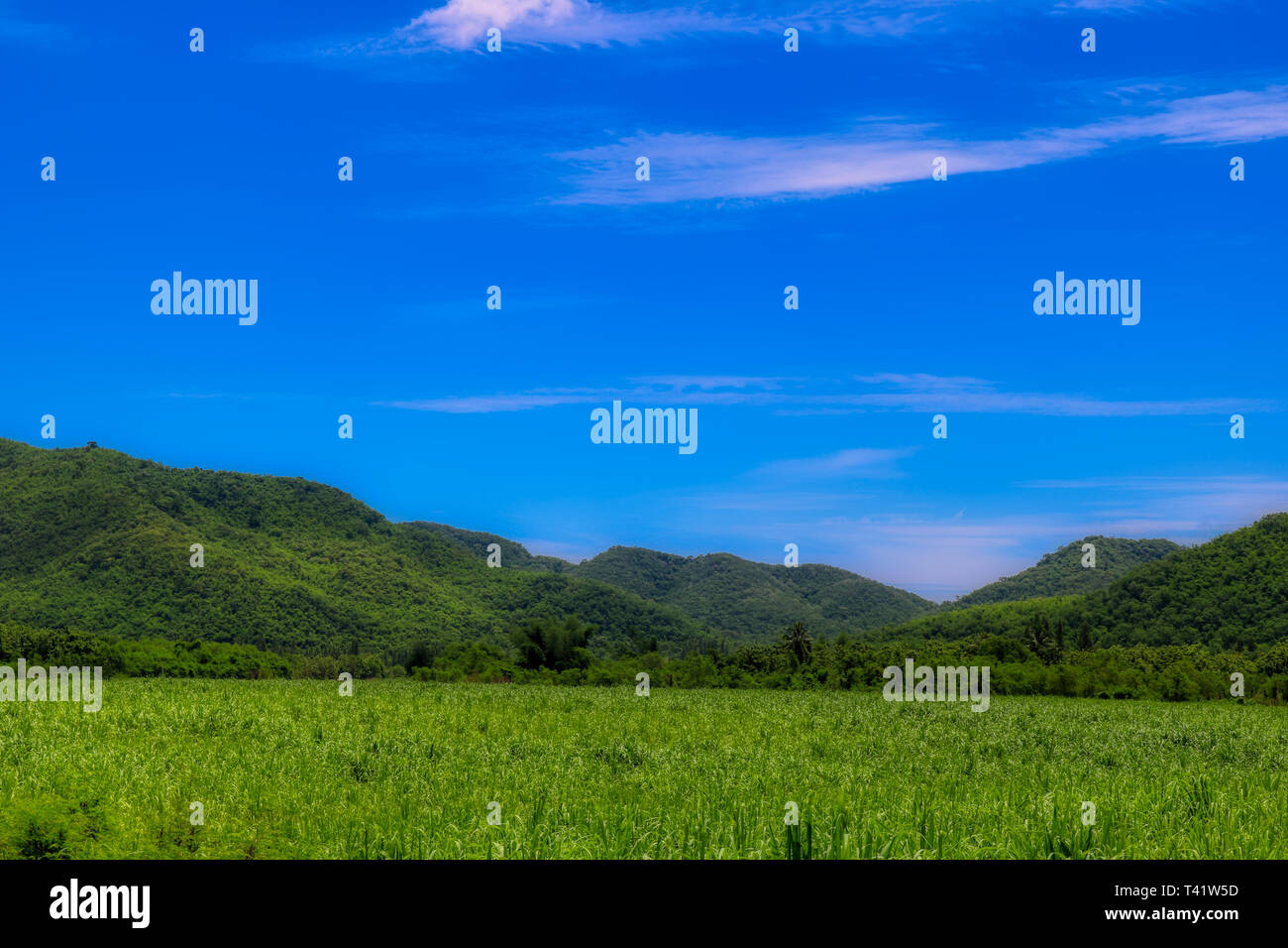 Questa unica immagine mostra la natura è bella con le colline e gli alberi al Kaeng Krachan National Park in Thailandia Foto Stock