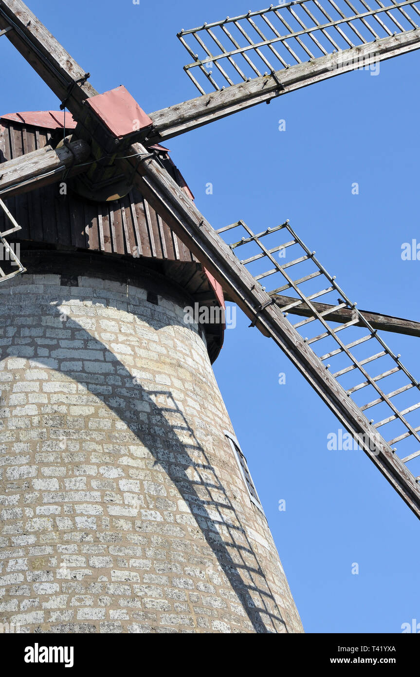 Il mulino a vento, Kuressaare, Estonia. Szélmalom, Kuressaare, Észtország. Foto Stock
