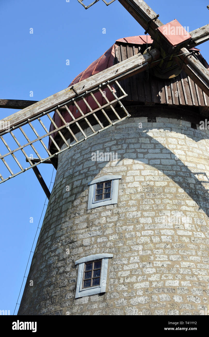 Il mulino a vento, Kuressaare, Estonia. Szélmalom, Kuressaare, Észtország. Foto Stock