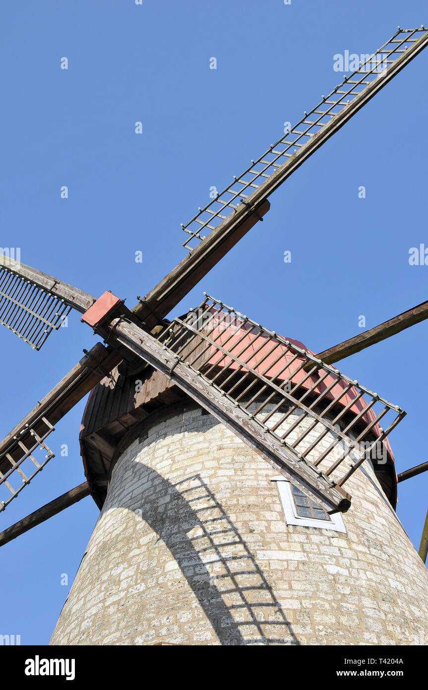 Il mulino a vento, Kuressaare, Estonia. Szélmalom, Kuressaare, Észtország. Foto Stock