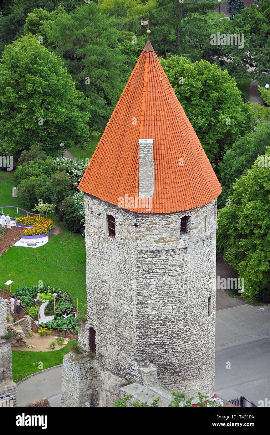 Il bastione di Tallinn, Estonia. Un városfal bástyája, Tallinn, Észtország. Foto Stock