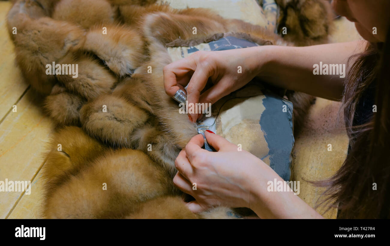 Personalizzare la riparazione di pelliccia Foto Stock