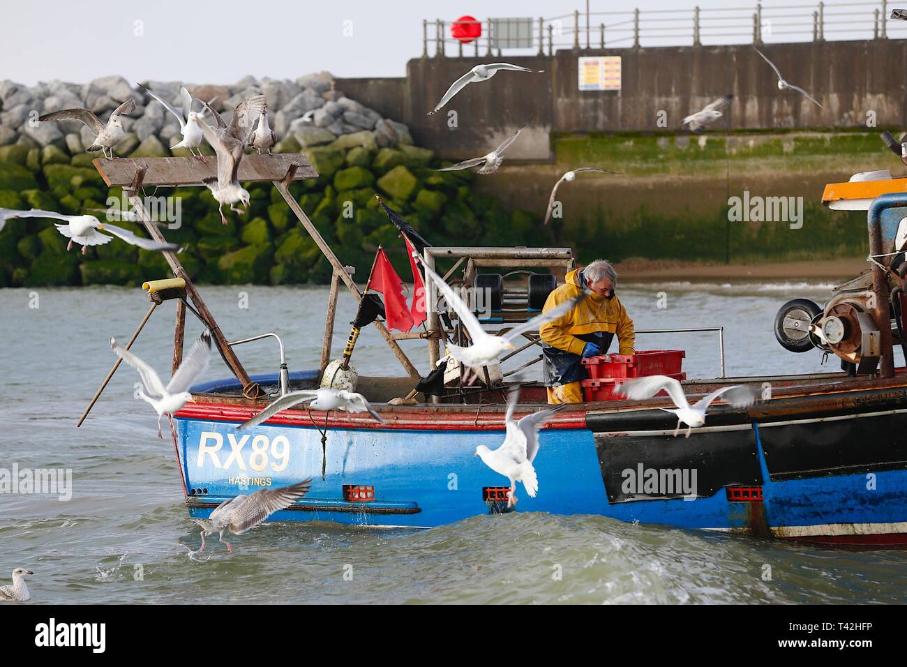 Hastings, East Sussex, Regno Unito. 13 Apr 2019. Regno Unito tempo: Mattina luminosa e fredda in Hastings, Sussex orientale. I pescatori che sono partiti alle 5 di questa mattina sono tornati a riva con il pescato del giorno, Hastings ha la più grande flotta di pesca lanciata sulla spiaggia nel Regno Unito. Pesca barca Hastings. Foto Stock