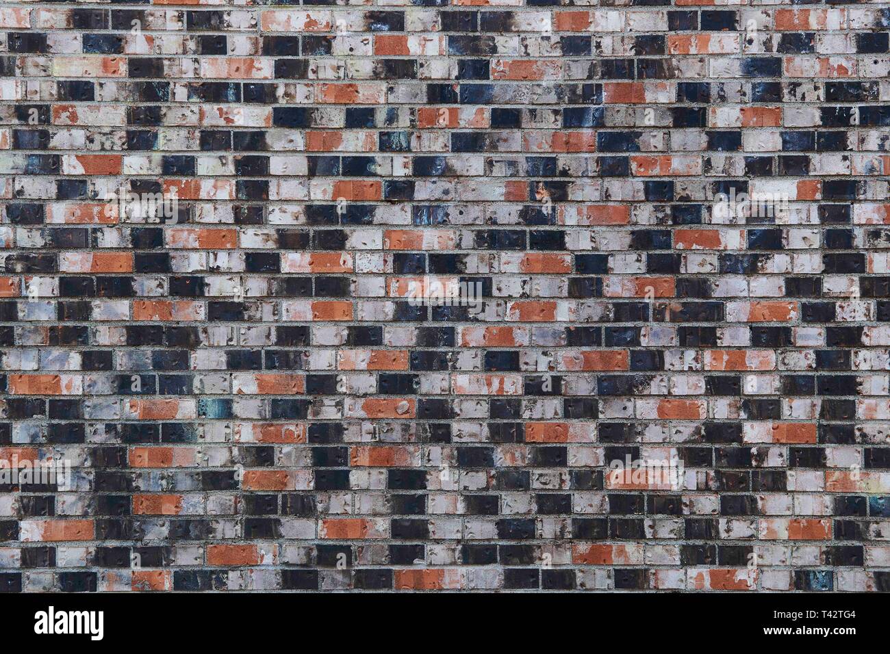 Brickwall costituita da diversi mattoni colorati, Montreal, Canada Foto Stock