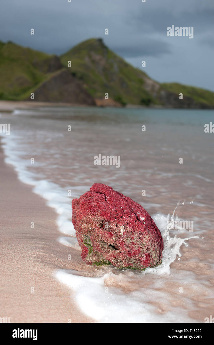 Forme d'onda colpendo morti corallo rosa, sulla spiaggia con le colline di background, Spiaggia Rosa, Padar Isola, Parco Nazionale di Komodo, Indonesia Foto Stock