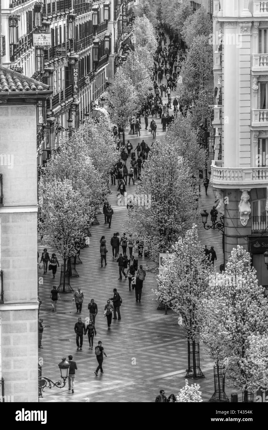 Madrid, Spagna. Marzo 21, 2017. Per coloro che godono di ciliegi fioriti da Plaza de Isabel II lungo Calle Arenal (Calle del Arenal) a Puerta del Sol Foto Stock