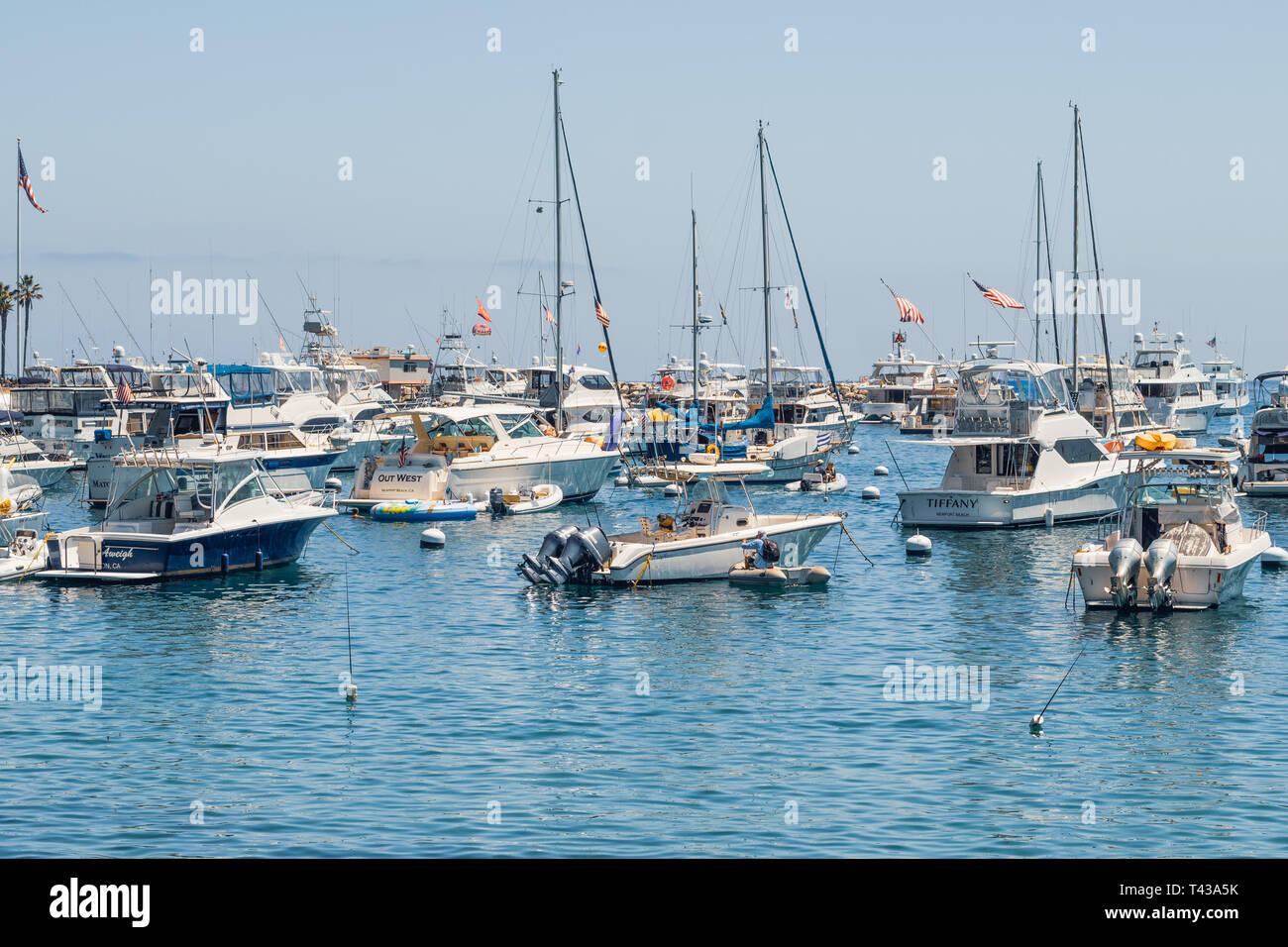 Barche ancorate nel porto di Avalon a isola Catalina. Avalon, Isola Catalina, California, 29 giugno 2017 Foto Stock