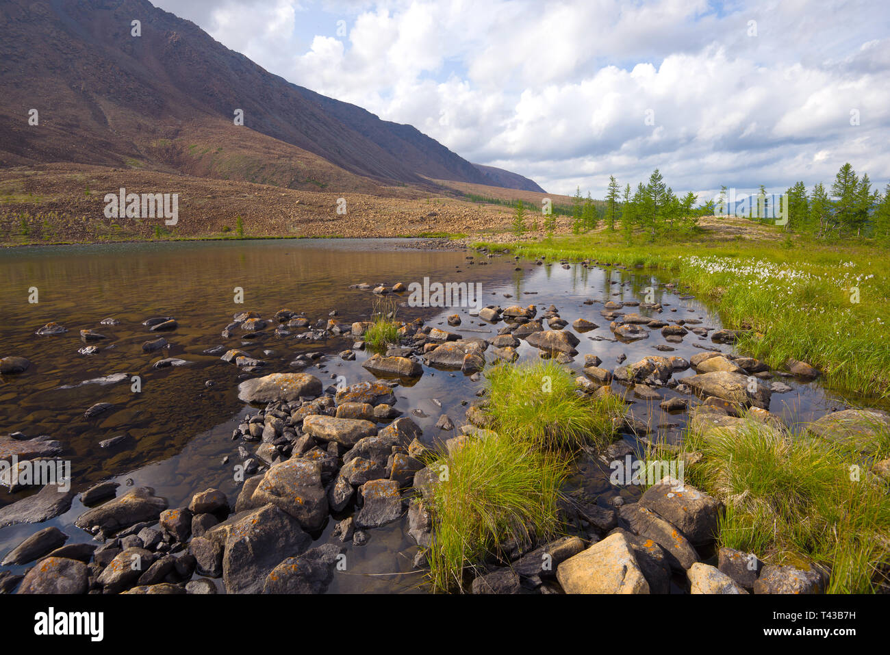 Sulla riva di un piccolo lago di montagna. Polar Ural, Russia Foto Stock