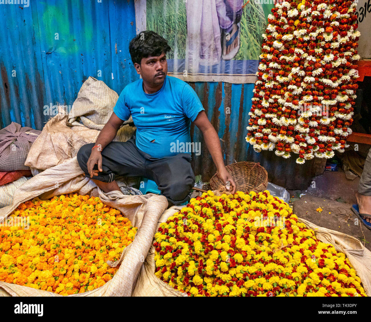 Vista orizzontale di un uomo vendita di calendula ghirlande a Mullik Ghat il mercato dei fiori in Kolkata aka Calcutta, India. Foto Stock
