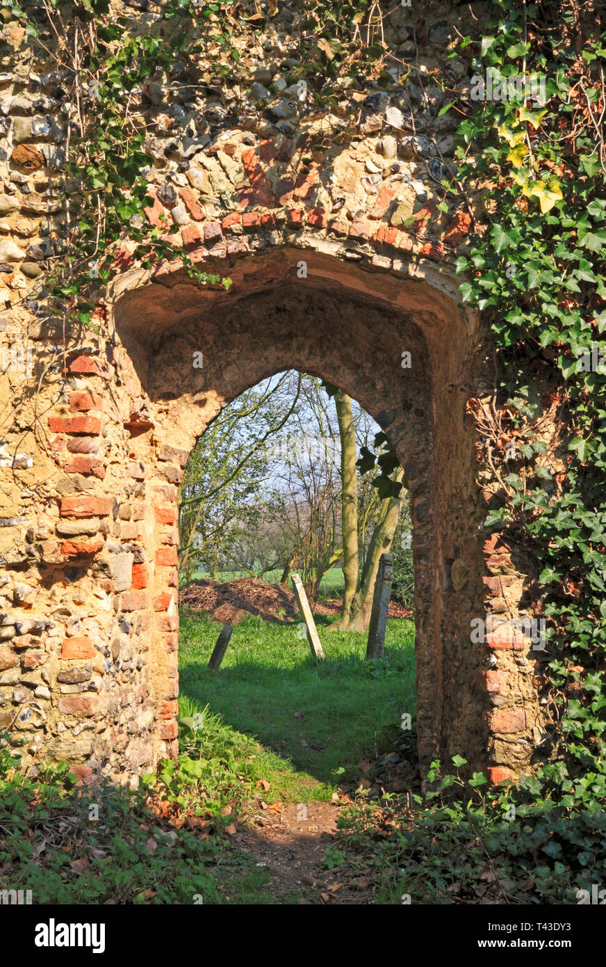 Una vista della porta nord dall'interno la navata centrale e le rovine della chiesa di St Edmund a Southwood, Norfolk, Inghilterra, Regno Unito, Europa. Foto Stock