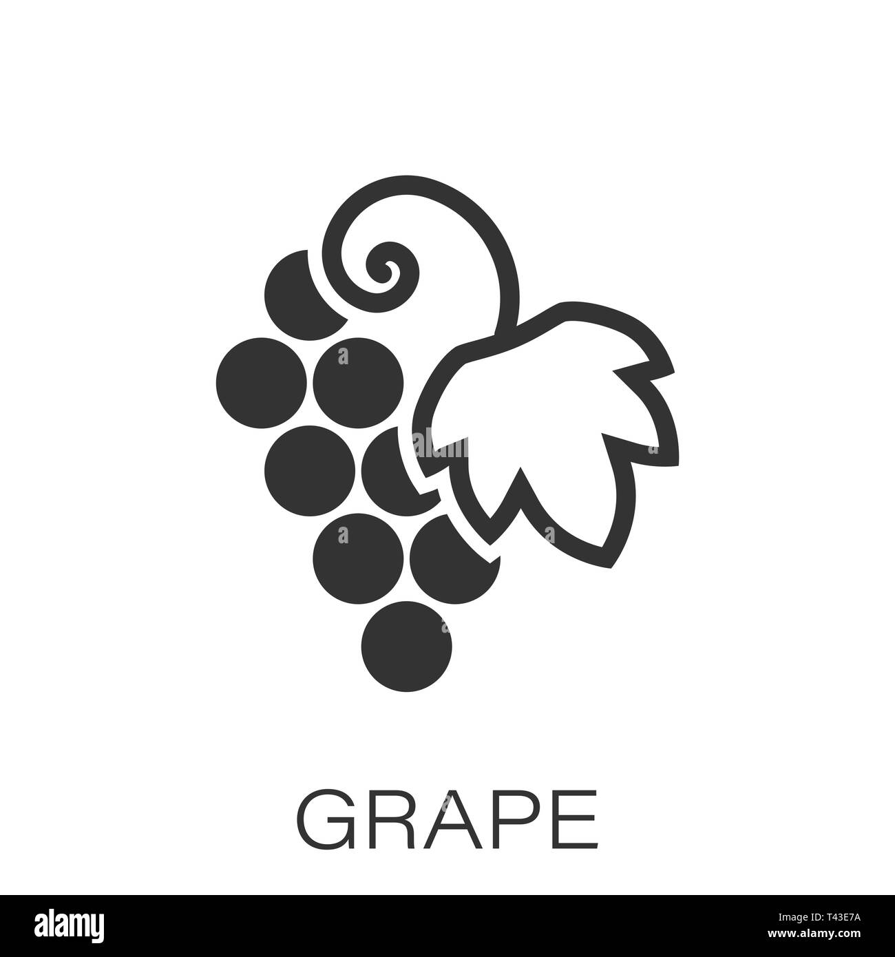 Frutti di uva segno icona in stile appartamento. Grapevine illustrazione vettoriale bianco su sfondo isolato. Uve da vino la concezione di business. Illustrazione Vettoriale