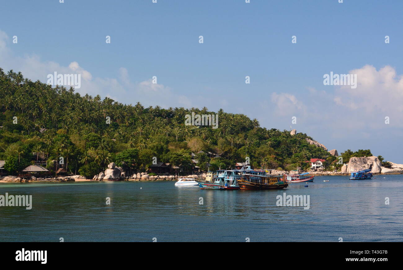 Barche da pesca. Mae aveva bay. Koh Tao. Chumphon archipelgo. Della Thailandia Foto Stock