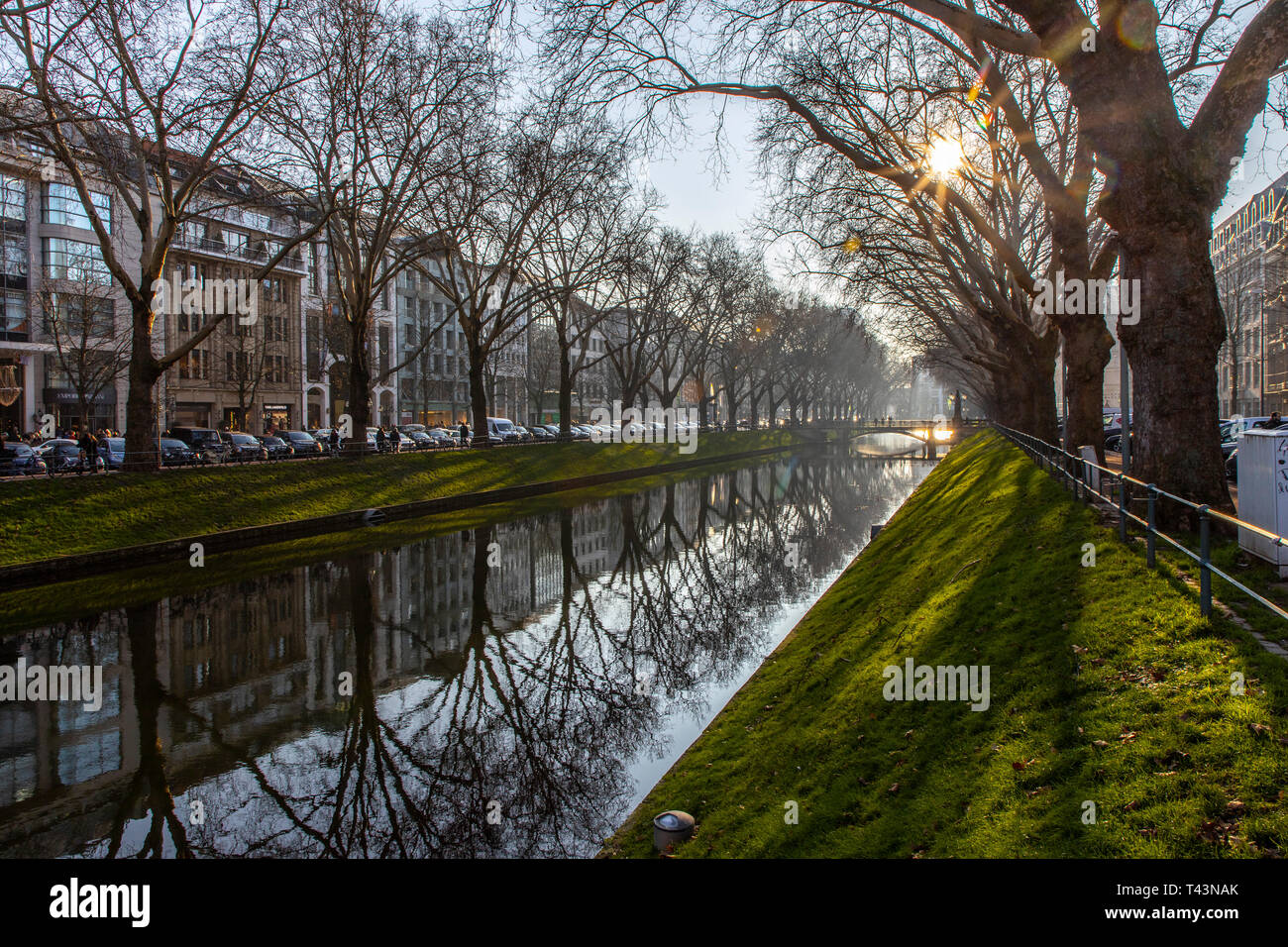 Il Kšnigsallee, Kš, DŸsseldorf, Kš-Graben stagno, con ponte e albero vicolo, lo shopping di lusso street, Germania Foto Stock