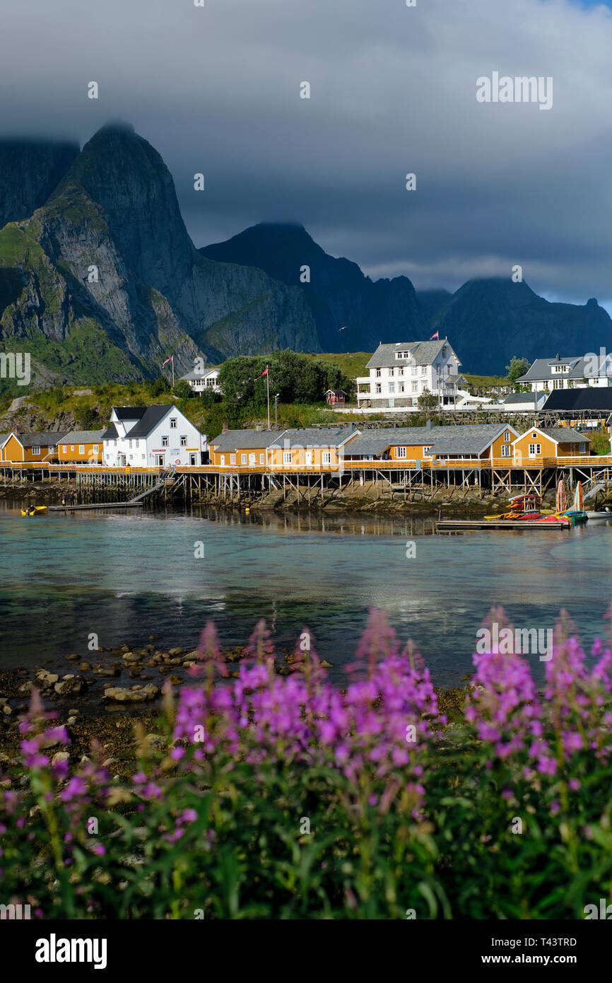 Sakrisøy Sakrisøya ( ) è una piccola isola e un villaggio di pescatori tra Reine e Hamnøy nel comune di Moskenes a Lofoten Nordland in Norvegia Foto Stock