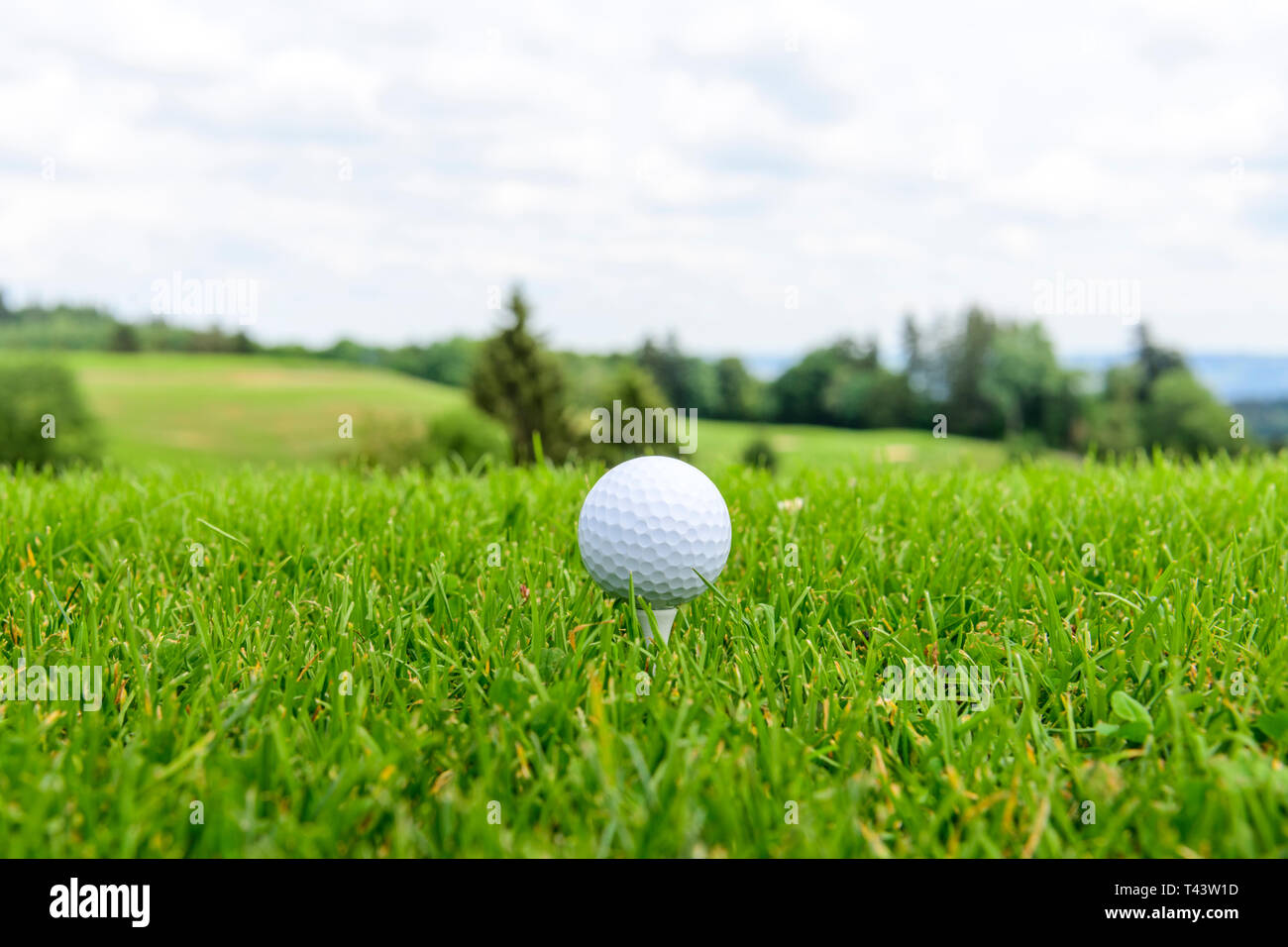 Tee off su di un campo da golf nel verde della natura Foto Stock