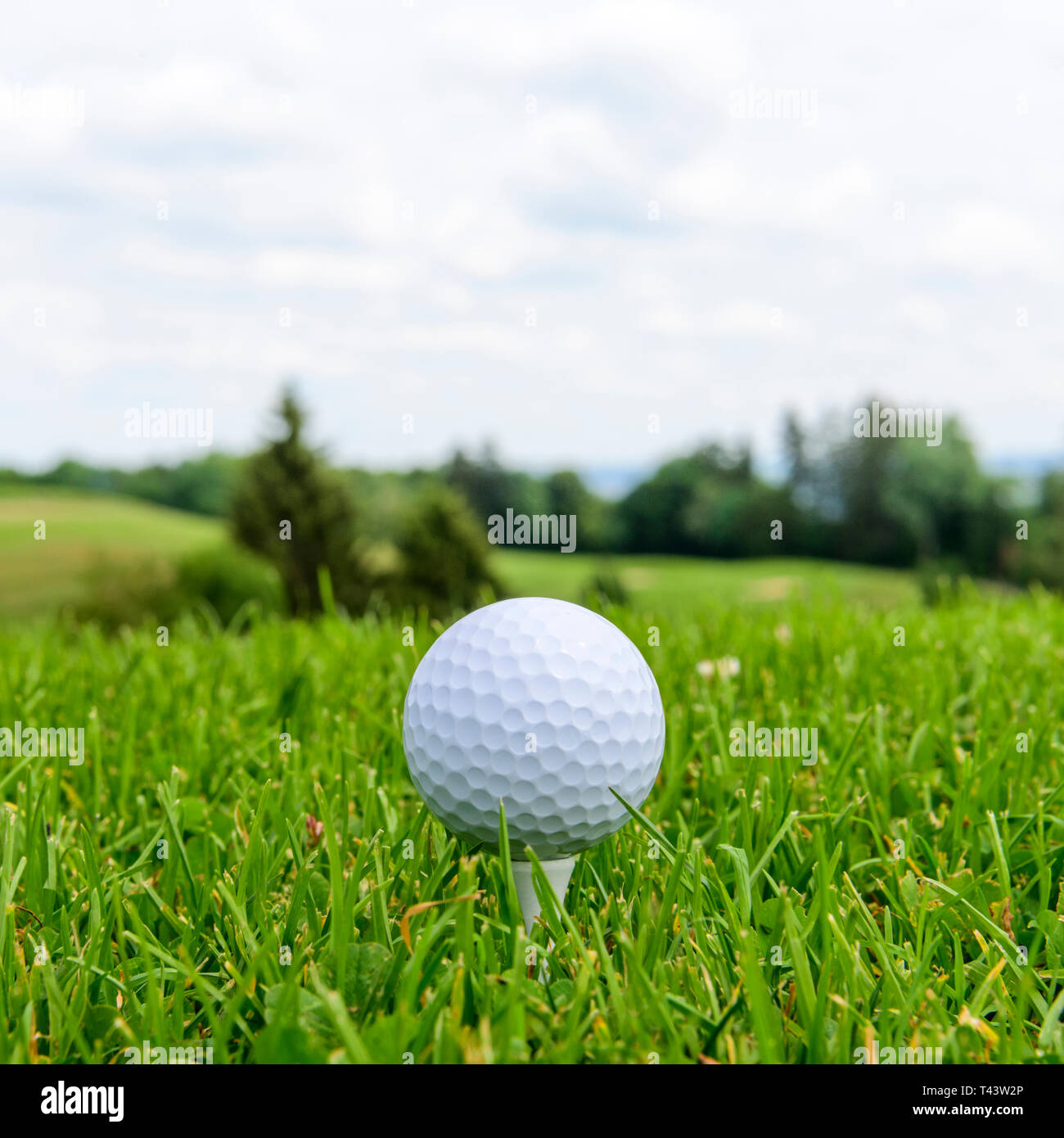 Tee off su di un campo da golf nel verde della natura Foto Stock