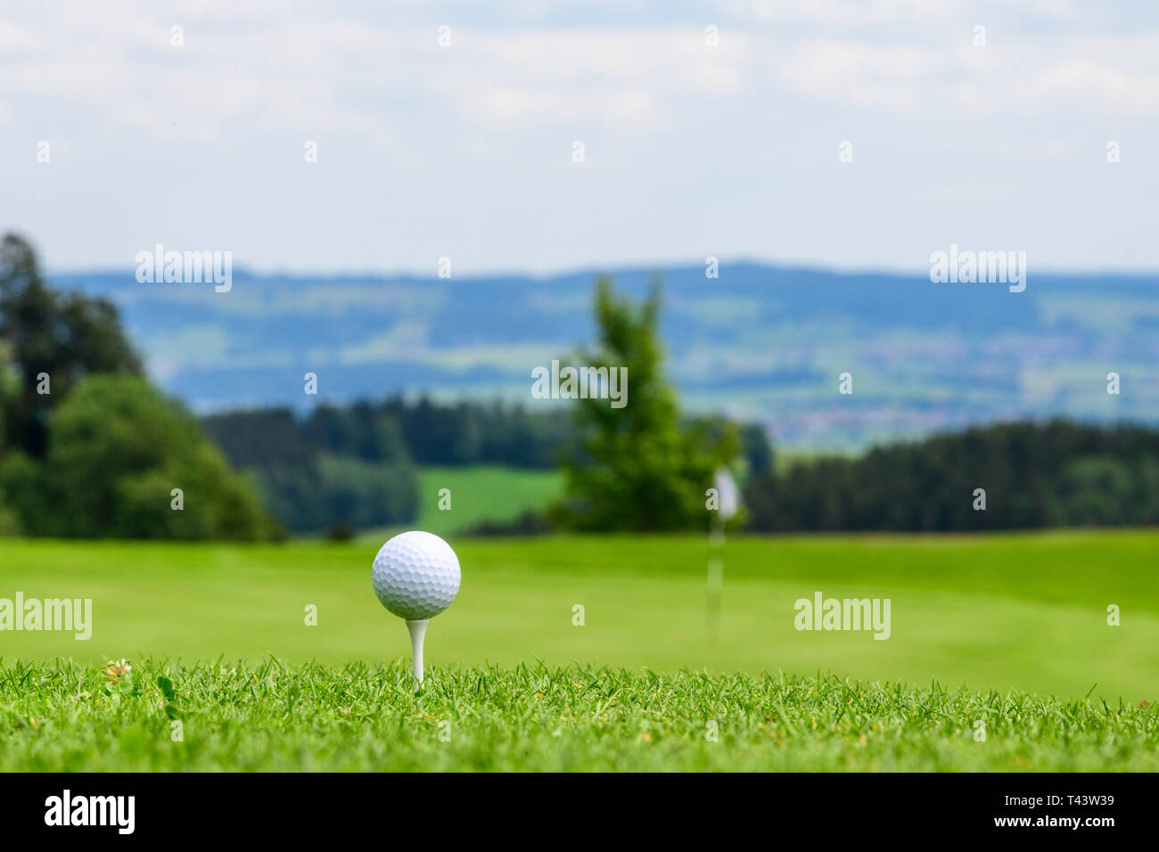 Tee off su di un campo da golf nel verde della natura Foto Stock