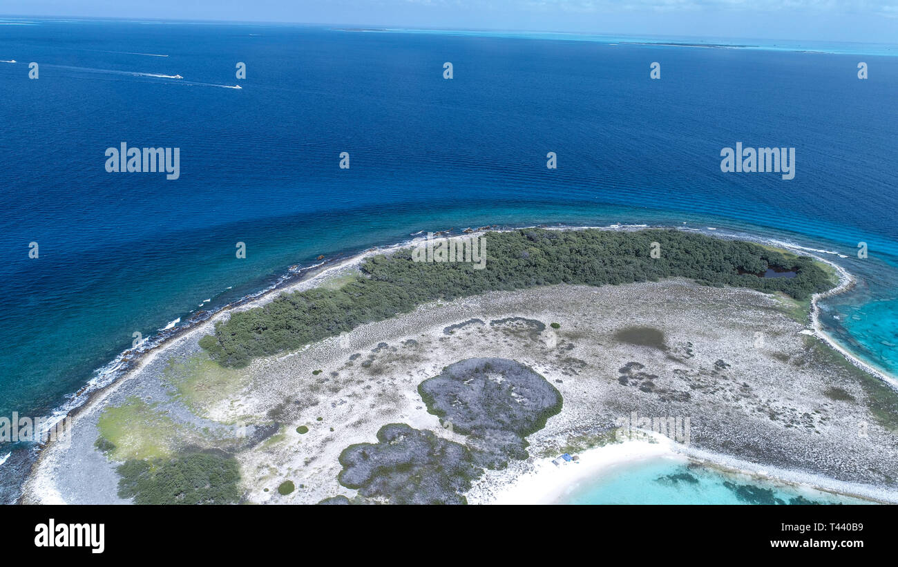 Vista aerea della barriera corallina orlata Noronky nell arcipelago di Los Roques Foto Stock