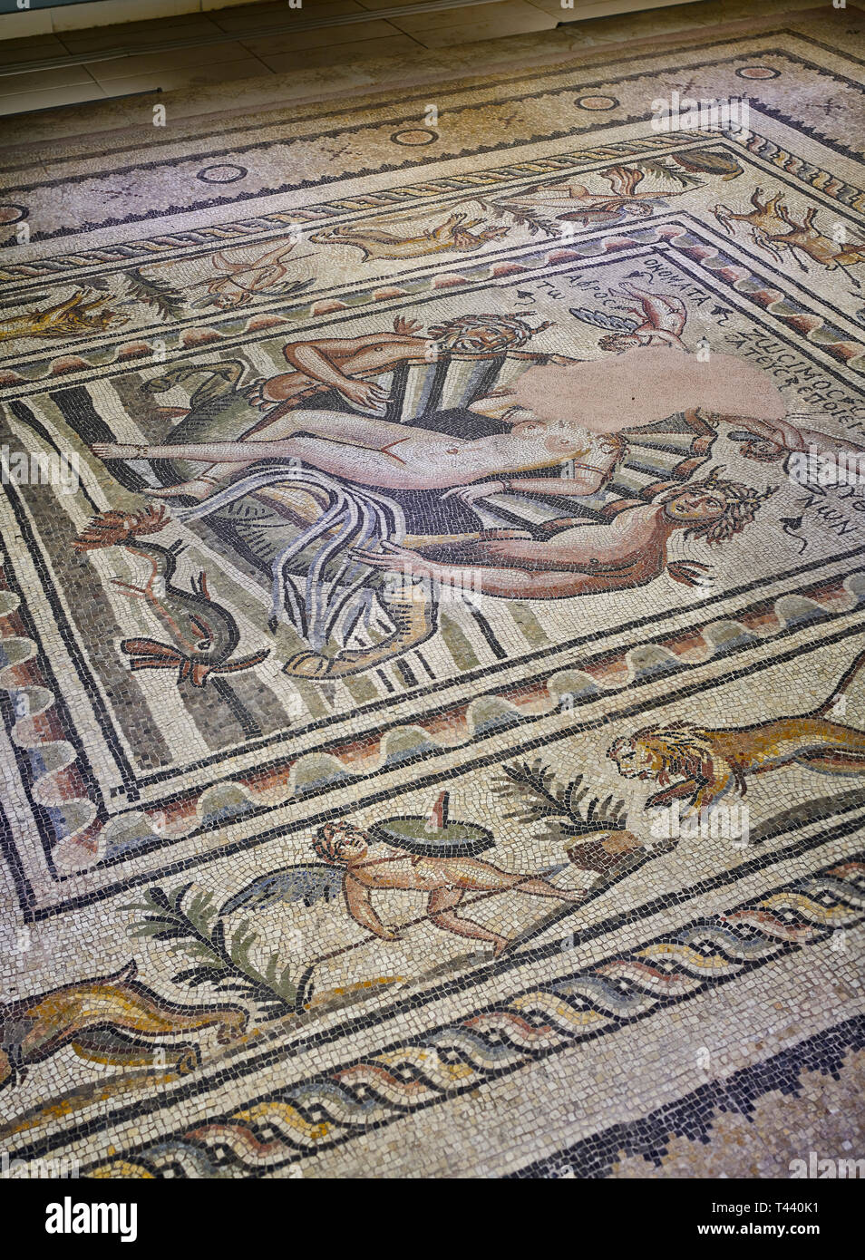 I mosaici romani - nascita di Afrodite (Venere) mosaico. Poseidon Villa Antica Zeugama, 2° - 3° secolo D.C. . Zeugma Museo del Mosaico, Gaziantep, Turchia. Foto Stock