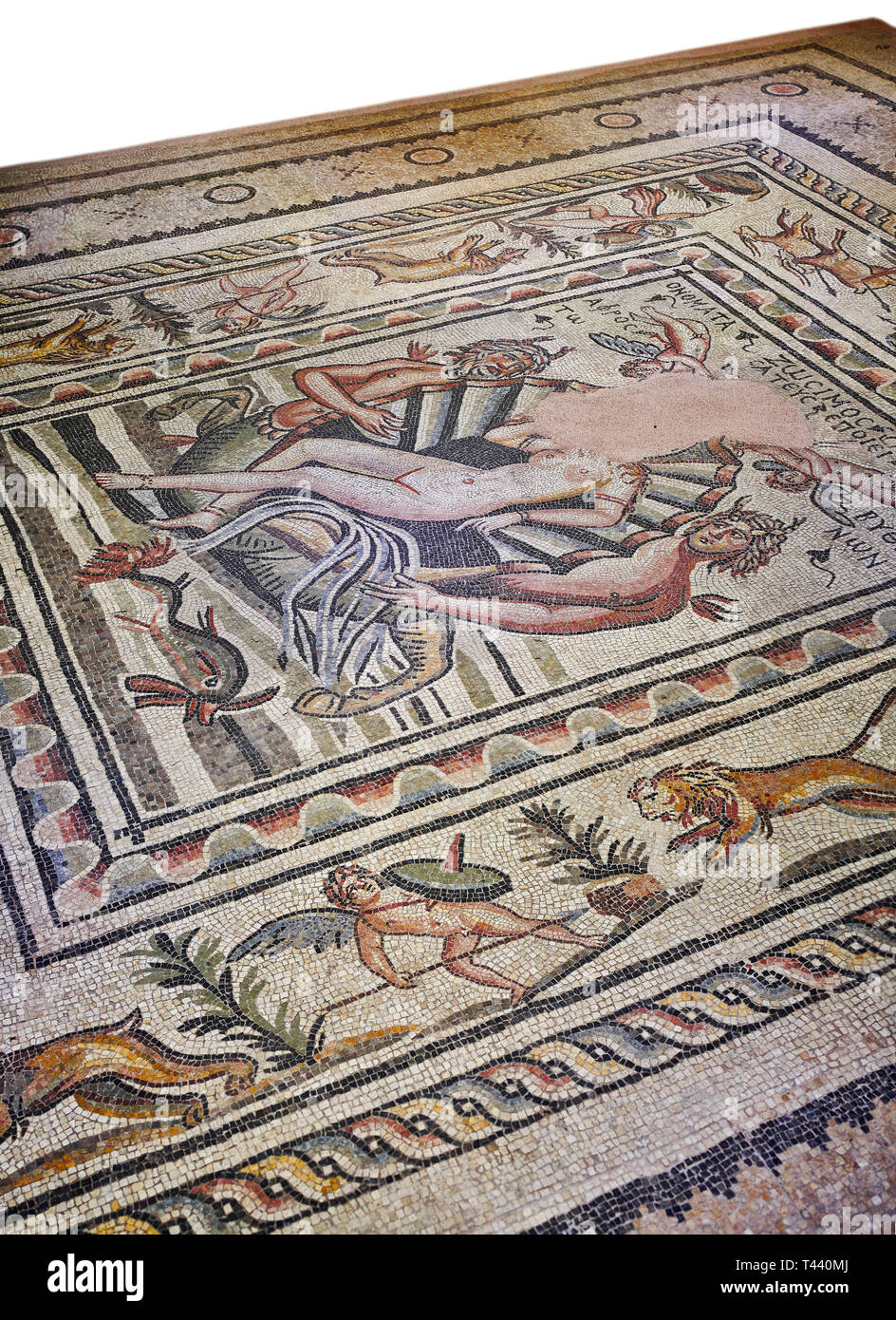 I mosaici romani - nascita di Afrodite (Venere) mosaico. Poseidon Villa Antica Zeugama, 2° - 3° secolo D.C. . Zeugma Museo del Mosaico, Gaziantep, Turchia. Foto Stock
