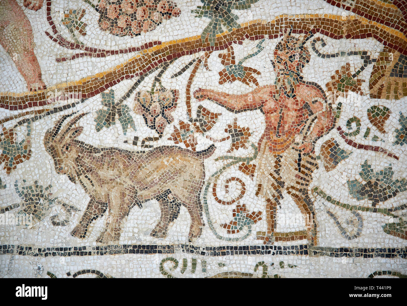 Dettaglio di un mosaico romano raffigurante design Silenus e amorini che mostra Pan e una capra, dalla casa di Sienus, antica città romana di Thysdrus. 3° ce Foto Stock