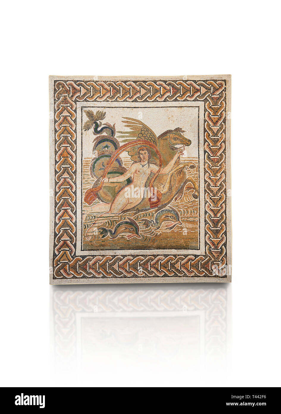 Foto di mosaici romani disegno raffigurante una ninfa giacente su un cavallo di mare con due delfini, dall'antica città romana di Thysdrus. Iii secolo D.C., H Foto Stock