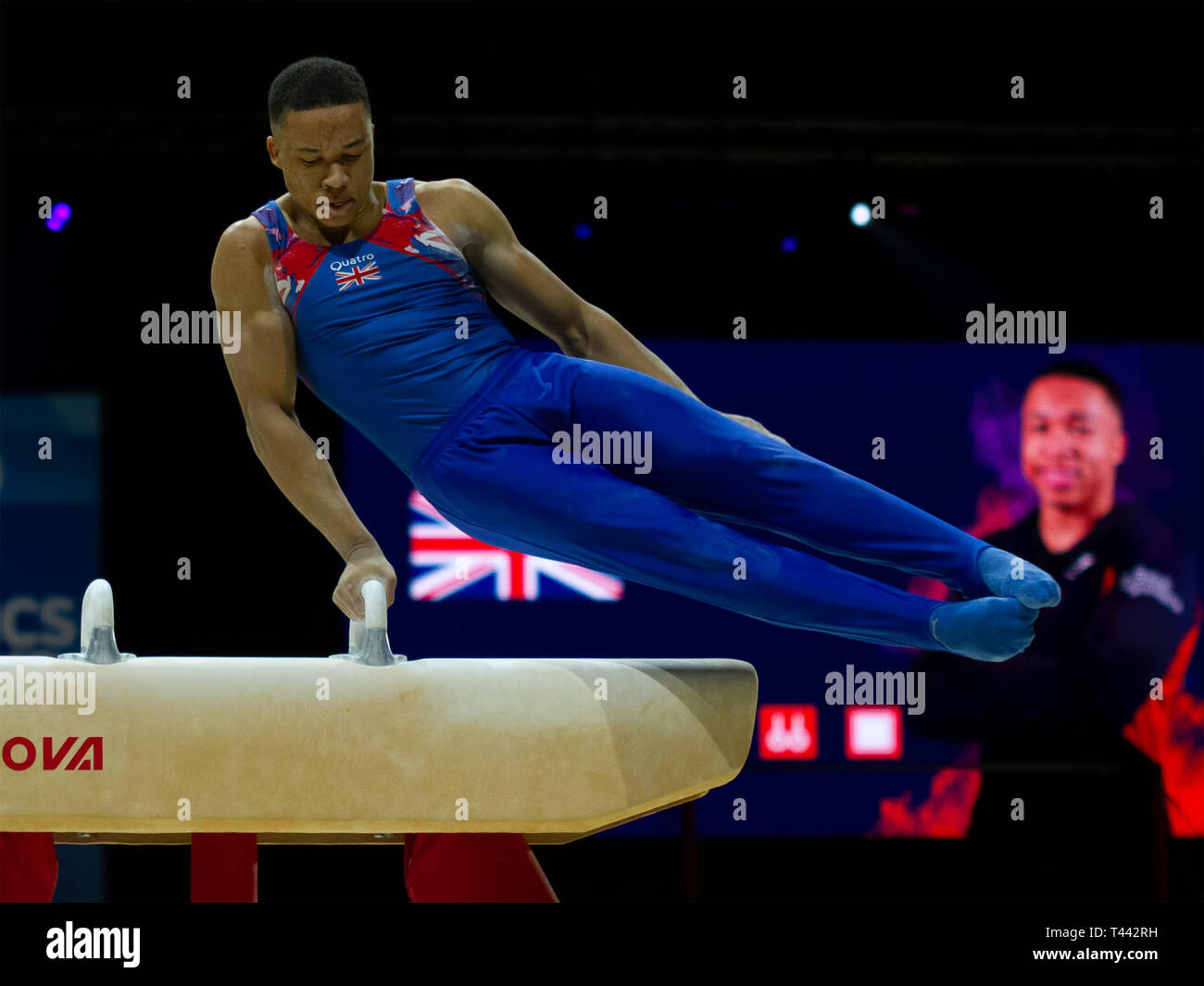 Birmingham, Inghilterra, Regno Unito. 23 marzo, 2019. La Gran Bretagna è Joe Fraser in azione durante gli uomini cavallo concorrenza, durante il 2019 Ginnastica Wo Foto Stock