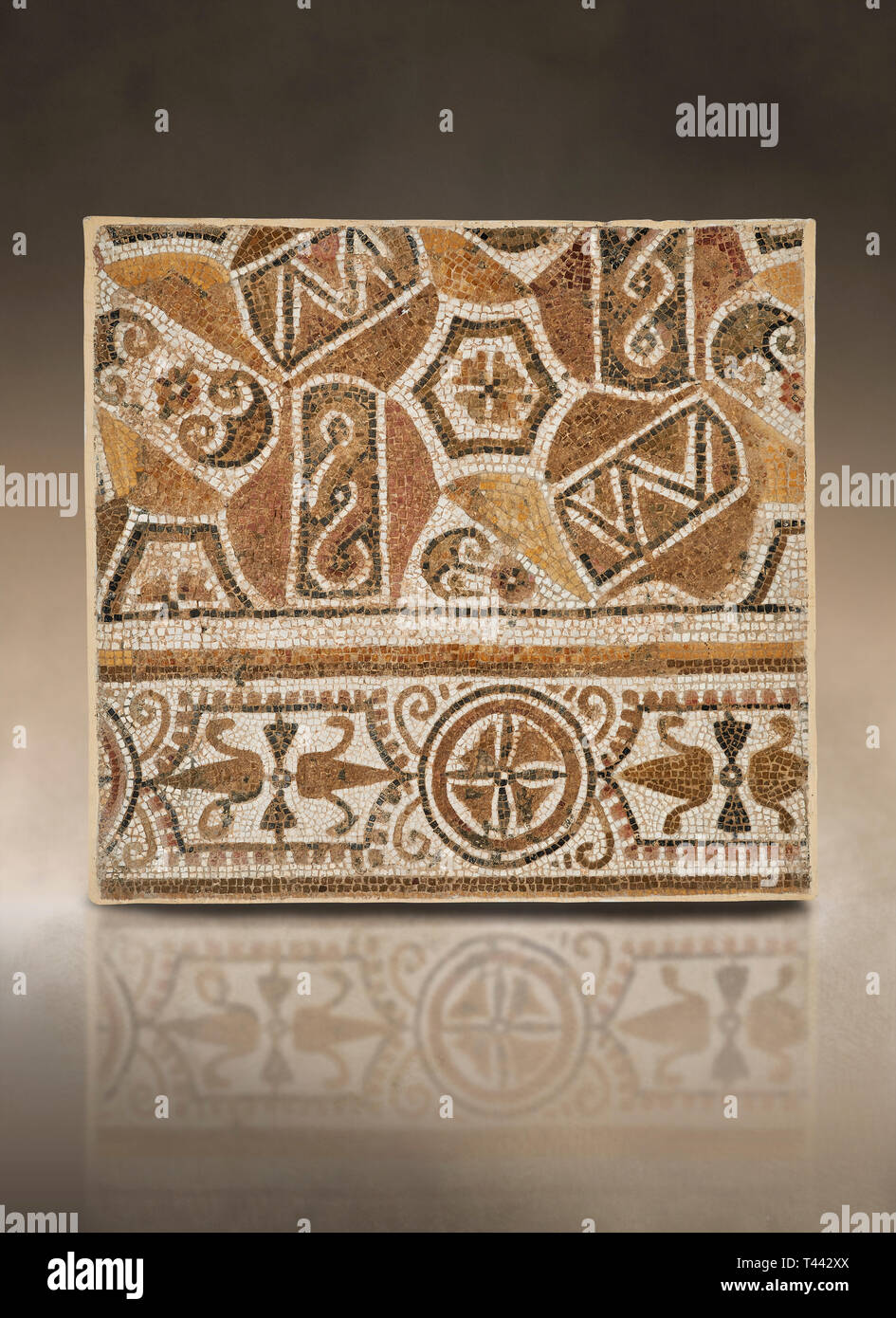 Foto di un geometrico mosaico romano, dall'antica città romana di Thysdrus. Iii secolo D.C. El Djem Museo Archeologico, El Djem, Tunisia. Foto Stock