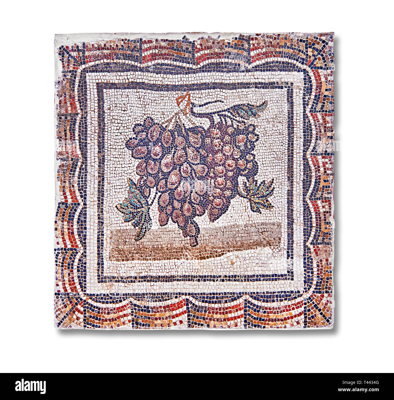 Iii secolo mosaico romano del pannello nero e uva bianca. Da Thysdrus (El Jem), Tunisia. Il Museo di Bardo, Tunisi, Tunisia. Foto Stock