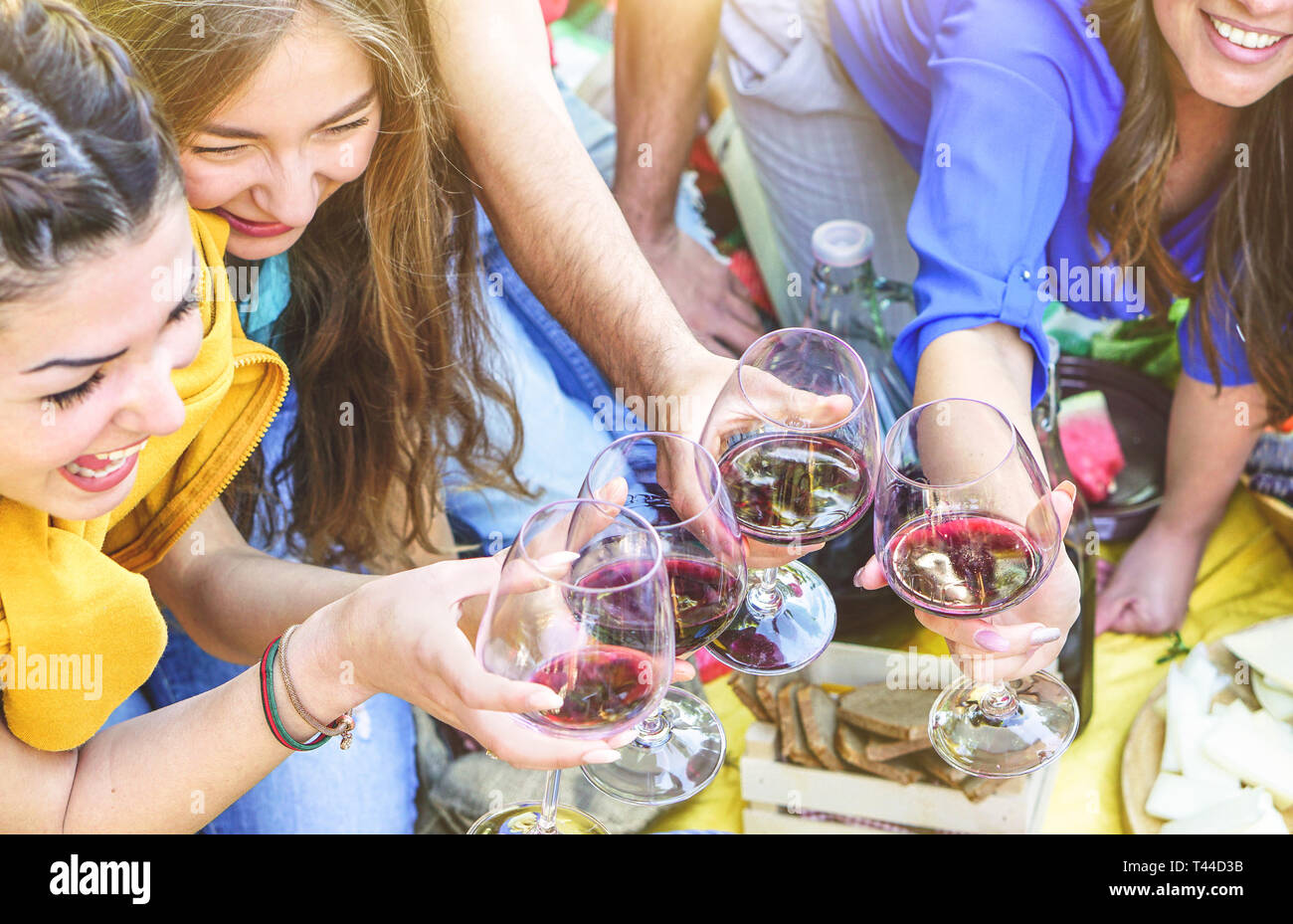 Gruppo di happy amici facendo un pic-nic tostare vino rosso occhiali - Giovani godendo e ridere insieme a bere e mangiare all'aperto Foto Stock