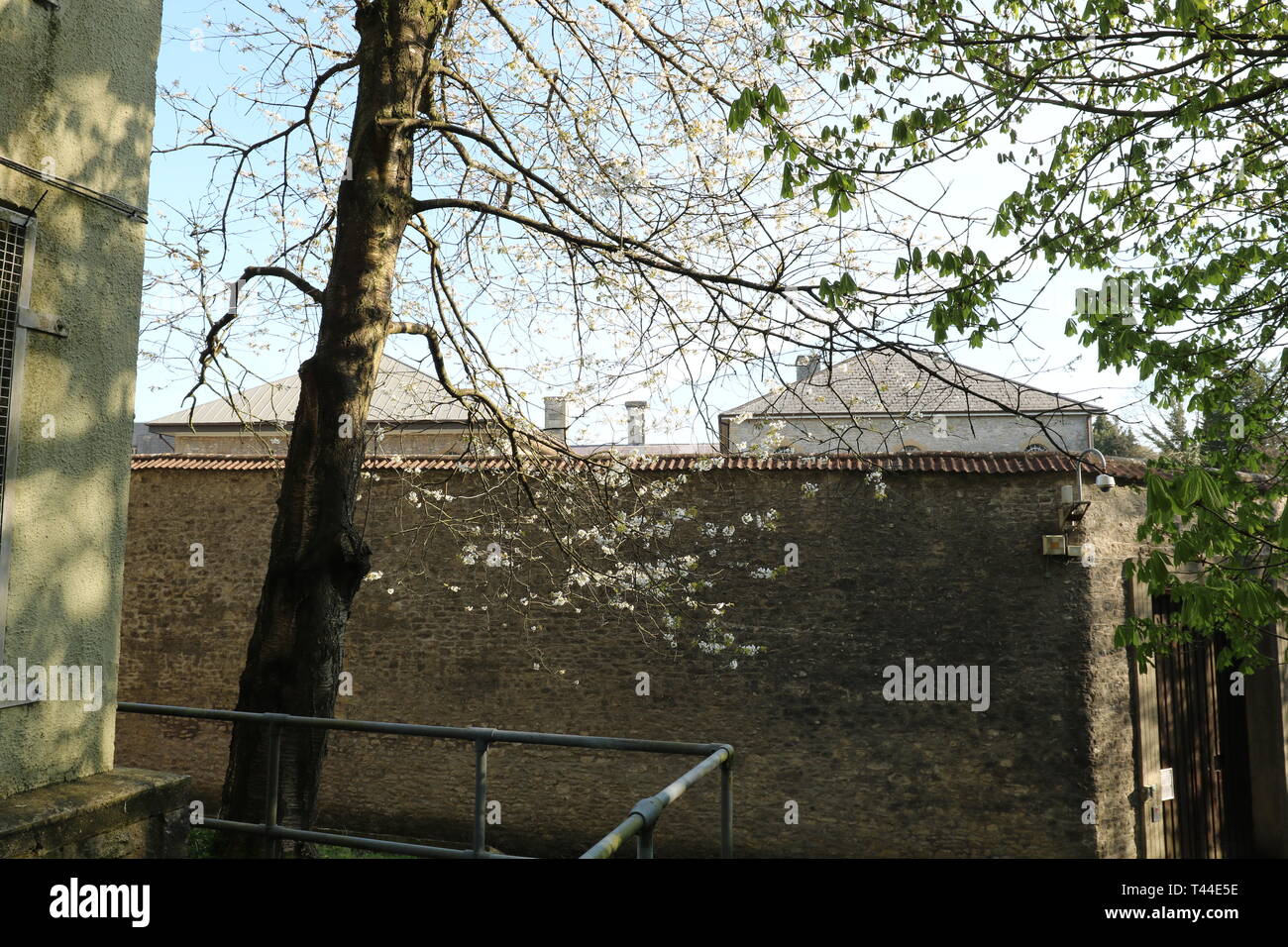 Shepton Mallet prigione, vista sulla corsia di prigione la vecchia prigione Foto Stock