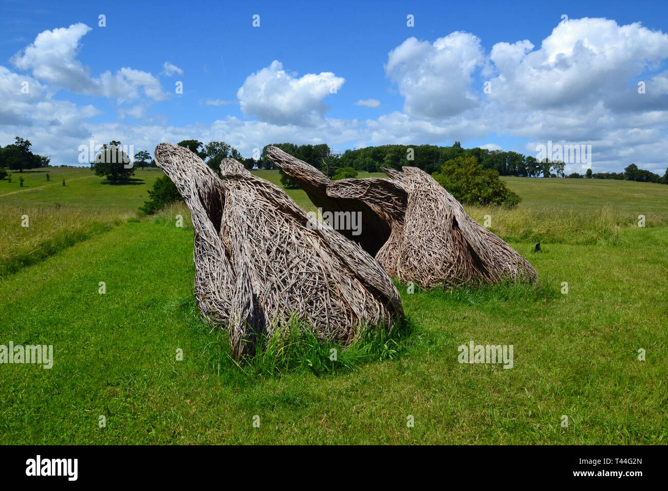 Le sculture realizzate da fibre vegetali tessute insieme per creare un effetto onda. Compton Verney House, Compton Verney, Kineton, Warwickshire, Inghilterra, Regno Unito. Foto Stock